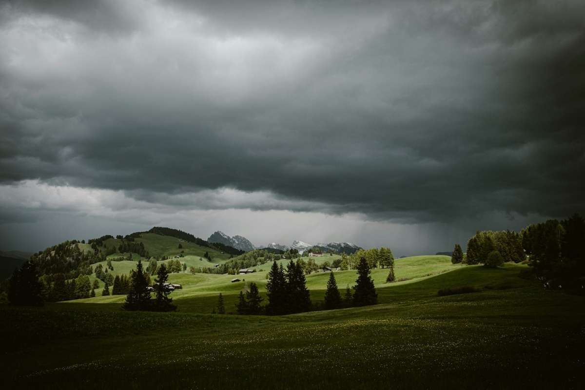 Alpe di Siusi meadow at sunrise, Dolomites