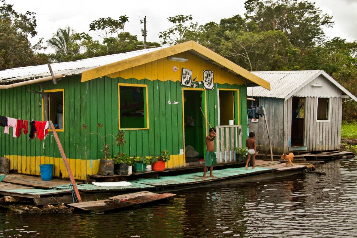 Amazon Rainforest, Manaus, Brazil